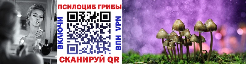 Галлюциногенные грибы мухоморы  Новоалтайск 